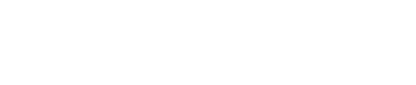 ECCO Academy